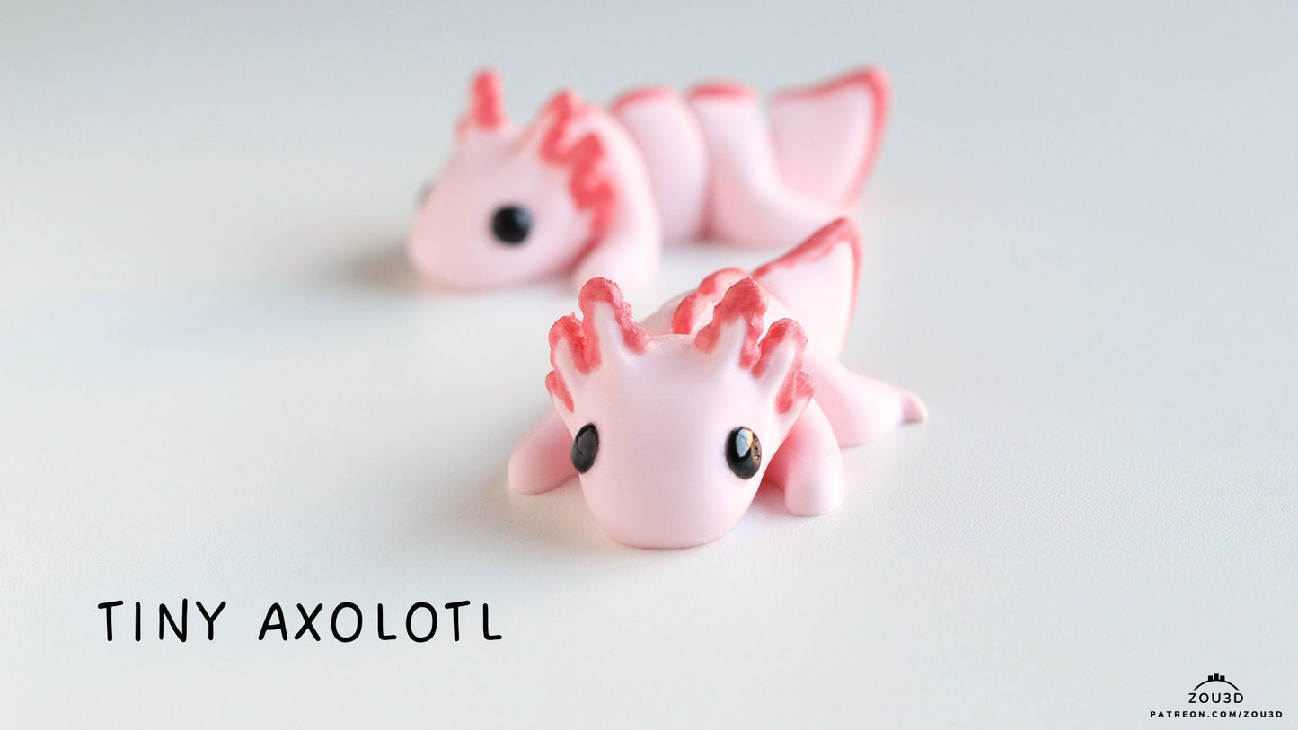 Baby Axolotl Fidget Model / Keyring