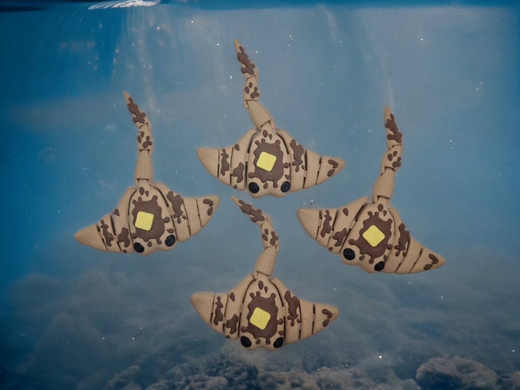 Flappy Jack Sting Rays - Multicoloured Print
