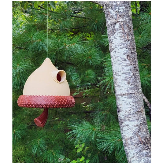 Acorn Bird House