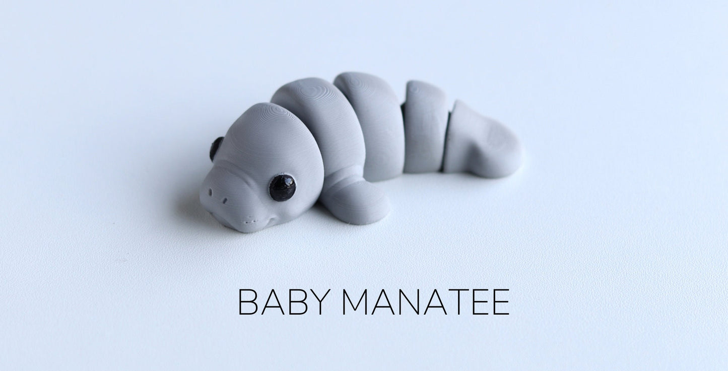 Baby Manatee Fidget Model / Keyring