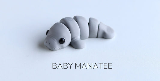 Baby Manatee Fidget Model / Keyring